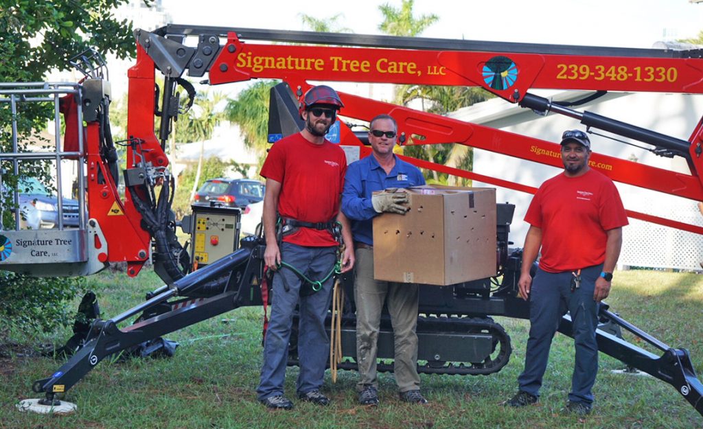 Naples Tree Service Assists with Re-nesting of Baby Eagle for Conservancy of SWFL | Signature Tree Care in Naples, FL