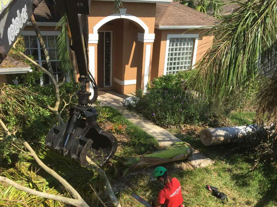 Emergency Tree Service Company in Naples, FL. is ready for Hurricane Dorian | Signature Tree Care