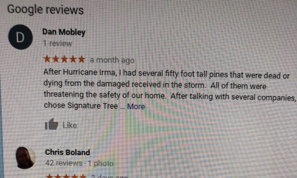 Google Reviews Close Up | Signature Tree Care