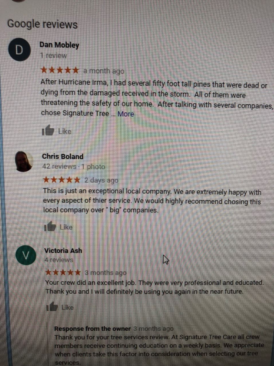 Google Reviews Screenshot | Signature Tree Care in Naples, FL