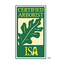 ISA Certified Arborist | Signature Tree Care in Naples and Ft. Myers, FL