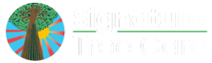 Residential & Commercial Tree Care Company in Naples, FL | Signature Tree Care