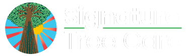 Residential & Commercial Tree Care Company in Naples, FL | Signature Tree Care