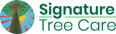 Signature Tree Care