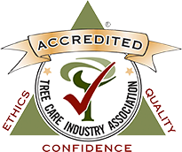 The ONLY Naples, FL Tree Service with Tree Care Industry Association (TCIA) National Accreditation | Signature Tree Care