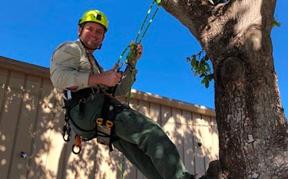 Naples Arborist Offers Private Tree Climbing Lessons | Signature Tree Care in Naples, FL